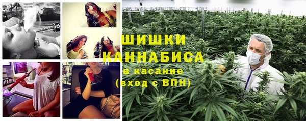 ГАЛЛЮЦИНОГЕННЫЕ ГРИБЫ Карпинск