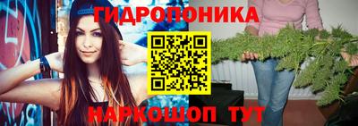 СК Волгодонск