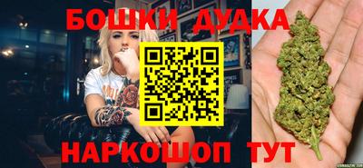 СК Волгодонск
