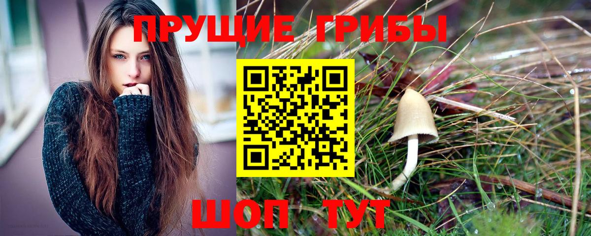 Галлюциногенные грибы мухоморы Нерюнгри