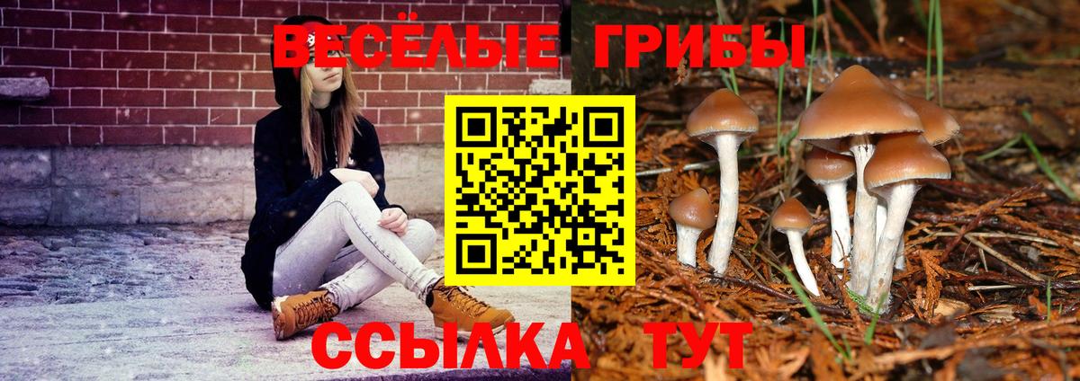 Нерюнгри  Галлюциногенные грибы мухоморы  как найти наркотики  Вход с VPN 